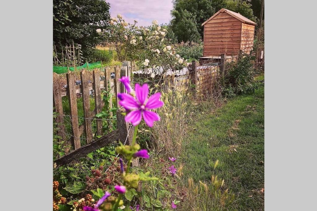 Melford Allotment Shed-Vintage Lodge Suffolk 长梅尔福德 外观 照片