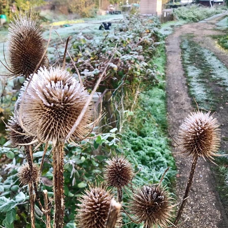 Melford Allotment Shed-Vintage Lodge Suffolk 长梅尔福德 外观 照片